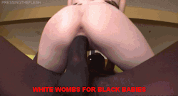 blackcocksdeservewhitepussy:   White women are incubators for black semen. 