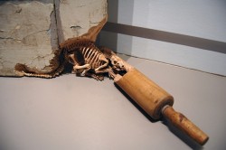 cornchipz:  thebeardsnotes:  Skeletal Creatures