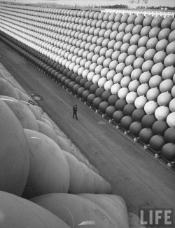 A security guard walking down US Highway 101 where there are towering stacks of hollow iron floats from which the iron antisubmarine nets were suspended to protect the US ports during the last war, California, by Hank Walker, 1953. Un garde marche sur