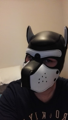 pup-fang:  Finally got myself a pup hood