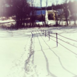 When Theres A Dead End Jump On Your Horse And Challenge It. #Horse #Tracks #Snow
