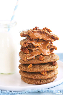 foodiebliss:  Biscoff Explosion CookiesSource: Cleobuttera  Where food lovers unite.   