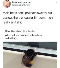 Male bees die after they bust that nut, so if he cheating he basically saying fuck you ima drop seed in another bitch and die. So don&rsquo;t wait up lmao