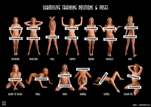 Cammie’s submission pose chart is up, and her image set is available for Patrons (บ gets you every image set ever) or on DeviantArt. http://fav.me/ddjox1dUncensored version available on my twitter.