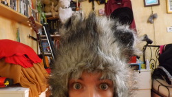 New floofy hat! I love it, but it&rsquo;s not quite #raccoonhat awesome. 