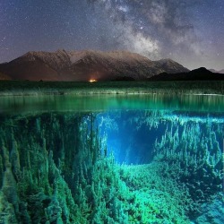 ponies-n-things: whispersnbells:  kanaryy:  sixpenceee:  IT consultant, Johannes Holzer, 38, from Krün, Germany, braved the cold to capture breath-taking shots of the milky way from a whole new perspective. They were taken from above and below the water’s