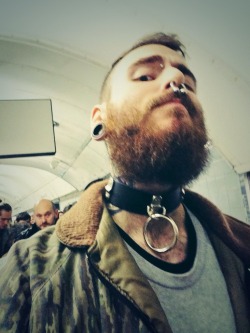 Gaymish:  I Just Bought This Collar From Expectations And Was On The Tube With My