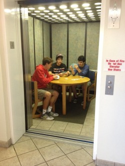 bootsonmyfeet:  wonderful-health:  slutdust:  stahscre4m:  stahscre4m:  there are guys in my dorm who decided to play cards in the elevator  the amount of notes on this should be higher. y’all need to rise to the occasion.  this is wrong on so many