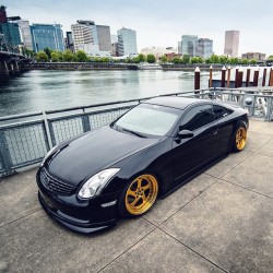 official-jdm-culture:  Www.jdm-culture.com for your web submissions Black and gold by @therussianvq Photo: @1down5upphotography #Infiniti #g35 #jdmculture  Sharing our web submissions all day long