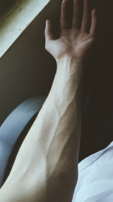warm-bagel:  my arm looks unhealthy