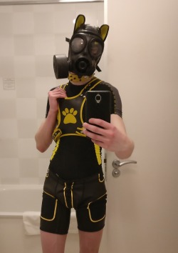 pup-rolo:  Got geared up for some cute and cuddly playtime with @prince-of-pups and @pup-trick last night *wags wags. * I love these two cuties 🐶🐾🐕 Prince let my try out his gasmask which I also adore!!!!