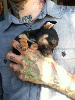 Got to love when puppies are so small you can fit them in the palm of your hand.