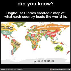 did-you-kno:  Doghouse Diaries created a map of what each country leads the world in.  Source Source 2Zoom in on the full map here.