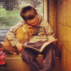 icatmeme:  My local rescue has a program called Book Buddies where kids read to sheltered cats to keep them from being lonely. 