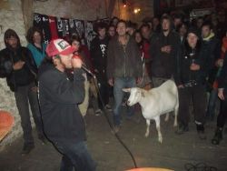 tofu-wizard:  This is how you should treat animals. Take them to grindcore gigs and stuff, not eat or abuse them.