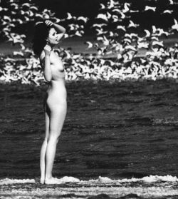 habitantes-oazj:Author - Masaya Nakamura  - Ema Nude in Africa 1971 1st Edition Photobook