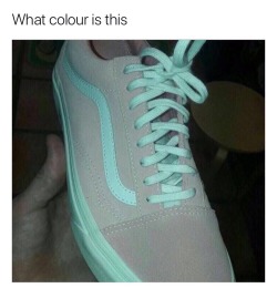 racefaker: cardozzza:   snoopingasusualisee:  Okay I’ve tried looking at this every possible way I could think of to figure out some optic illusion to make this shoe look anything but pink and white? But anyways it’s pink    ITS FUCKING BLUE AND GREY