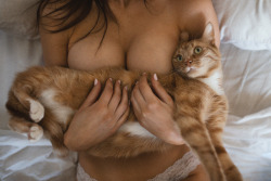 Boobs &amp; cats.. Best things in life 