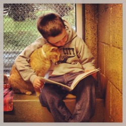 Fuckyeahfelines:  Kids Read To Sheltered Cats And Everyone’s Heart Collectively Melts