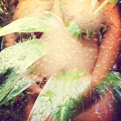 mypleasurealways:  asleepylioness:   Naked in the rain. Preferably with a lover. And preferably in a tropical climate. This is what I wish for while I sit with my coffee and let my mind wander.  All my lovins, Ladywar Ringstars  This is just so gorgeous.
