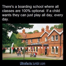 chusska:  ultrafacts:  just-another-lost-teenger:  ultrafacts:  Source  For more posts like this, follow Ultrafacts  Where is school I will not rest until I go there  It is the Summerhill School, located in England. The school’s philosophy is to allow