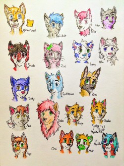 furrywolflover:  ayzutho-the-catfox:  Furries of Tumblr Collection  Aww I dont see the revision of revisions ;~;Great job on all these though!