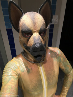 Rubber Pup!