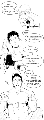 winemvee:  Korean short hair cat is cute. Korean short penis male is cute, too. (inspired by 붕괴(@Collapsed_bot)) 