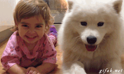 heyh8r:  sound-isvibration:  anyone who says diamonds are a girl’s best friend clearly has never owned a dog.  omg   It&rsquo;s Ghost! #needmyowndirewolf