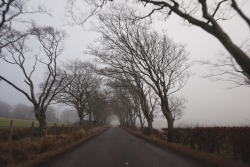 Another foggy scene in Scotland