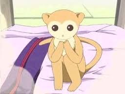 Name: Ritsu Sohma Anime: Fruits Basket Occupation: Unemployed Curse Year: Monkey Age: 21 - 23 Ritsu is a beautiful, unstable, and panic driven young man with extremely low self esteem. He took to wearing female clothing as it makes him a bit more comforta