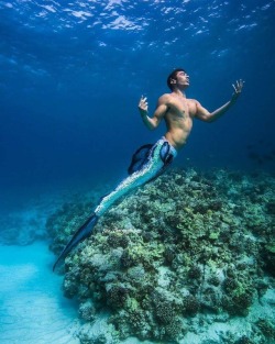 hawaiianmerman:  Breathless places.  📸@seethroughsea    #merman #mermaidart #breathless #mermaid #livealoha #sereia #sirena #seethroughsea #kona #hawaii #flex #physique #fantasy #fantasea #dream #apnea #reef