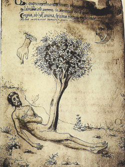 wetreesinart:Miscellanea d'alchimia, Codex Ashburnham 1166, folio 16, Florence, Biblioteca Medicea Laurenziana di Firenze