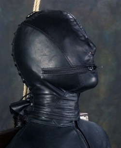 3-holes-2-tits:  A good hood keeps the wearer in darkness and out of control. This one does exactly that, there is not even a choice if the mouth is useful or not as the zipper controls the access. 