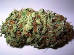 laboratoryequipment:  Marijuana’s THC Can