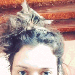 palpetine-princess:  maryjean20:  Kat Dennings Instagram: &ldquo;The hottest hair accessory for 2014&rdquo; kat and her cat, they are so lovely!  literally my cat does this to me constantly.