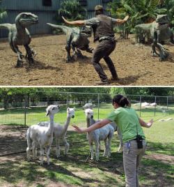 lithefider:  tastefullyoffensive:  This is getting out of control. (photos via ZookeeperRachel)  Zoo keepers finally have their day.