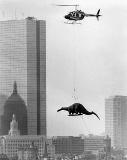 historicaltimes:  A dinosaur being delivered