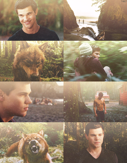 Taysten4Sure:   Jacob Black: A Few Lucky Members Of The Tribe Have The Gene. If A