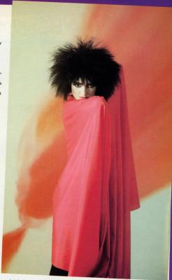  Siouxsie Flexipop Magazine Issue 22 