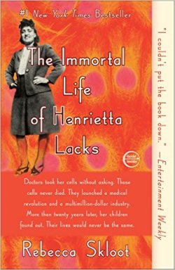 blackchildrensbooksandauthors:Born on this day…  August 1, 1920 Henrietta Lacks Henrietta Lacks…died of cervical cancer on October 4, 1951, at age 31. Cells taken from her body without her knowledge were used to form the HeLa cell line, which has