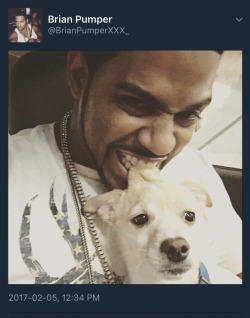tarynel:  kinghispaniola:  gang0fwolves:  i have the same look as the dog anytime i see this nigga in a video  @haramasfuq come get your man .. First cracking eggs on these bitches skulls and now he biting a dog  Is this nigga on drugs?