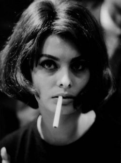 retrogirly:  Sophia Loren 