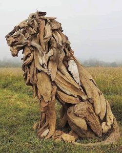 1confuciousone:  sixpenceee: Lion driftwood sculpture 