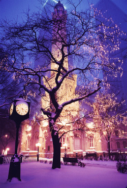 bluepueblo:  Snowy Night, Chicago, Illinois