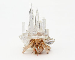 cauxcollective:  Caux Collective Introduces: Aki Inomata In her 2009 project named &ldquo;Why Not Hand Over A ‘Shelter’ To Hermit Crabs?&rdquo; Japanese Fine Artist Aki Inomata set about creating artistic, make-shift homes for the small crustaceans,