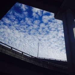 unpresentable:This was taken earlier while we’re waiting at the PNR and boy, I just fall in love with it! 💘 I feel like if I edit it, it’ll just ruin this beautiful view. 💫☁️⛅️💗 #unedited #iphoneonly #clouds #sky #beautifulsky #bluesky