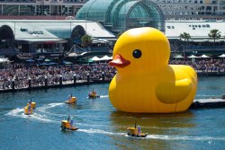The art of whimsy (a 15-metre/49-foot tall rubber duck floated into Darling Harbour in Sydney, Australia on Saturday 05Jan2013 to mark the opening of the annual three-week Sydney Arts Festival)