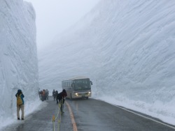 What 60 feet of snow cleared in Japan looks like.
