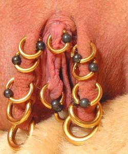 A beautiful pussy, many gold rings.
